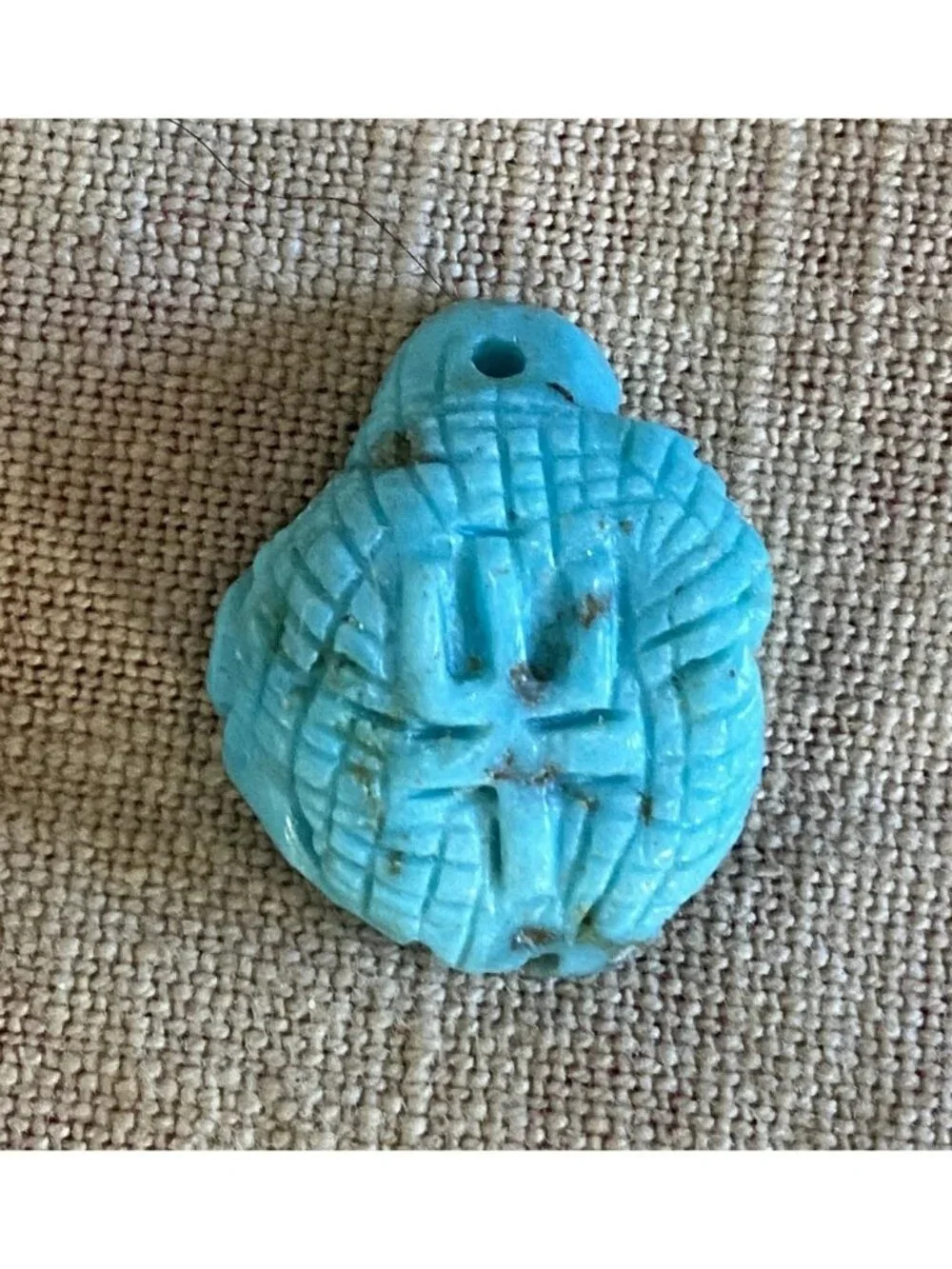Turquoise 2 Sided Charm Pendant Goat Cactus Symbol 3D Looks Like Lizard From Sid